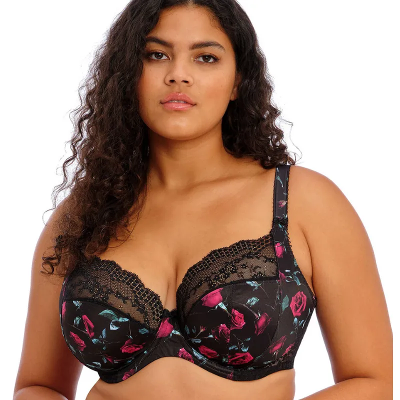 Elomi Lucie Plunge Bra Rock N' Rose