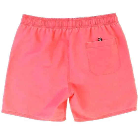 Maui Party Pool Shorts