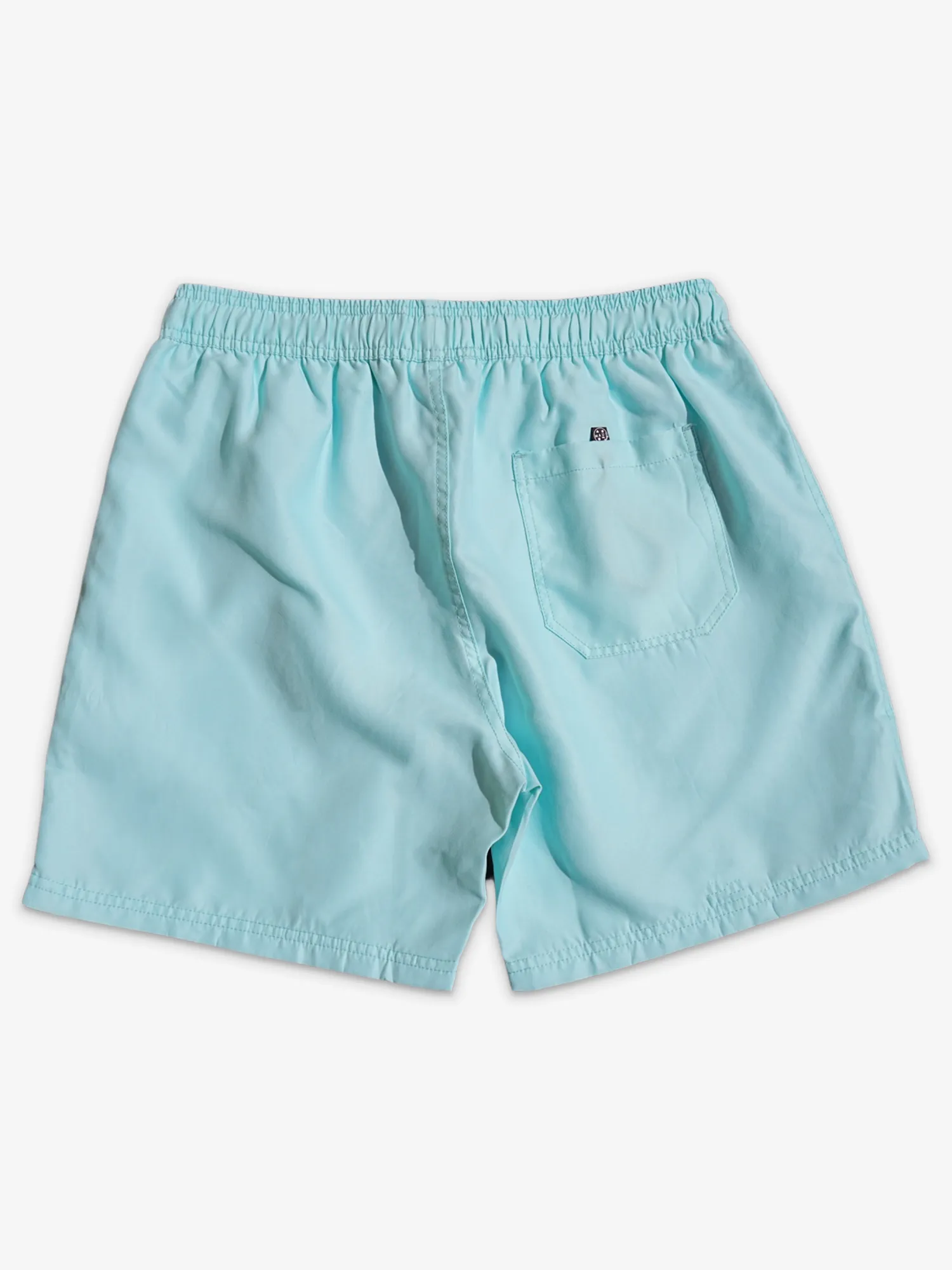 Party On Pool Shorts