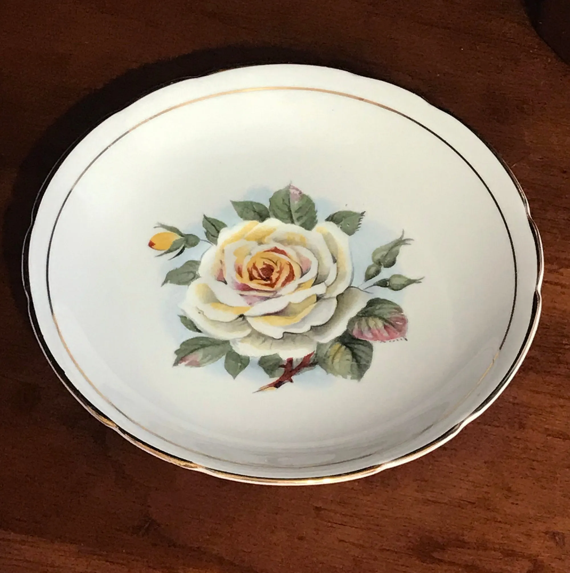 Regency Bone China Yellow Rose Collectible Cup and Saucer Set