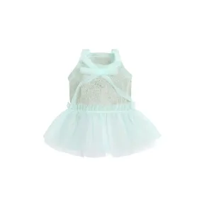 Sheer Is Nice Tulle Dress - Mint