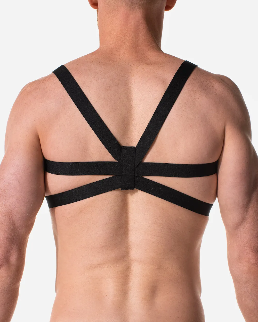 Trix Double Strap Harness